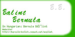 balint bernula business card